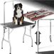tectake® Table de toilettage pour chien