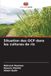 Situation Editions Notre Savoir Situation des OCP dans les cultures de riz Paperback