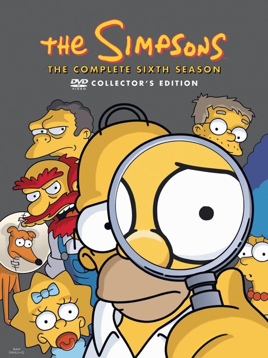 - The Simpsons - Seizoen 6 dvd