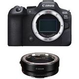 Canon EOS R6 Mark II + Adapterring EF-EOS R
