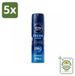 NIVEA MEN 5 x Fresh Active Deodorantspray - 150 ml