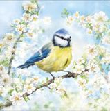 Ambiente Blossom Time Servetten 33 x 33 cm