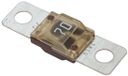 Blue Sea Systems Midi/ami-zekering 70a Gris