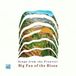 Sonic Rendezvous Big Fan Of The Bison - Songs From The Frontier (CD)