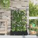 Maison Exclusive - 2 jardinières d'extérieur, couleur noire, dimensions 80 x 40 x 125,5 cm, en plastique PP