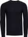 Rusty Neal Heren Trui Casual Fit Trui Blauw Maat XL