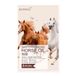 EUNYUL Natural Moisture Mask Pack Horse Oil 1 pièce