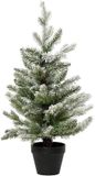Everlands Allison mini boom d60h90cm grn/wt