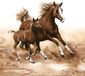 Daisy Maki lunch/diner servetten - 20x st - 33 x 33 cm - paarden - feestservetten