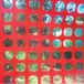 Endless Castle Face Endless Garbage (LP) (Limited Edition)
