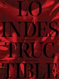 AlbarrAn Albarrán Cabrera The Indestructible Paperback