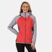 Regatta - Women's Imber III Lightweight Waterproof Walking Jacket - Red - Size 46