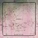 Blank Square - Animal 1 (CD)