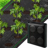 Barrière anti-mauvaises herbes de jardin résistante avec ouvertures pour plantes 6x10ft