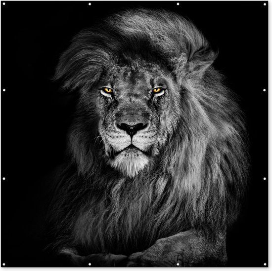 GreatGardenPosters Tuin poster Leeuw - Ogen - Oranje - Zwart wit - Dieren - Portret - 200x200 cm - Tuindoek - Buitenposter