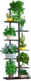 Unyqoos® Élégant porte-plantes en métal à huit niveaux pour décoration intérieure