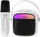 Adler AD 1199 Enceinte karaoké Bluetooth