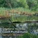 Smetana: The Czech Philharmonic Orchestra, Semyon Bychkov - Smetana: Má Vlast (CD)
