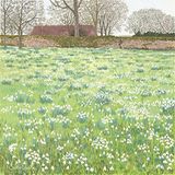 Susan Entwistle Art Snowdrops Hodsock Priory wenskaarten, 15 cm x 15 cm, Papier Multi kleuren, 15 x 15 x 1 cm