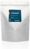 fittergy L-glutamine 350g
