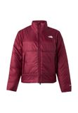 THE NORTH FACE Veste intermédiaire 'PERTEX EXPLORE' bourgogne