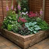 Green boutiQ - Vasteplant - Borderpakket - Schaduw - Diversen - Soorten en kleuren - 6 Planten - Pot 11cm - Hoogte 15-25cm