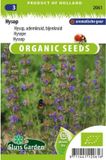 Sluis Garden Hysop Biologisch (Hyssopus officinalis)
