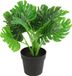 Countryfield Kunstplant Monstera plant in bloempot - Groen - 15 x 28 cm