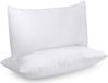 Unyqoos Coussin Inserts Ensemble de 2