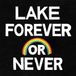 Forever Lake - Forever Or Never (LP)