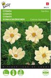 Buzzy - Zaden cosmos cosmea xanthos 10 zaden