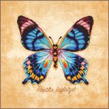 Lanarte Borduurpakket - Papilio laglaizei - Telpakket kit - Beige