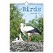 Comello Vogel Kalender 2027 Wandkalender Dieren Natuur Nederlands