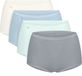 Sloggi Women Basic+ Maxi (4-pack) - dames slip - wit - lichtblauw - lichtgroen en grijs