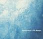 The Springintgut & F.S.Blumm - The Bird And White Noise (CD)