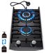 StarTech EUGCT-B02 Inbouw gasfornuis
