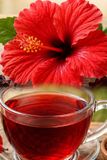 To Independently Published To turn grey hair permanently black, one should drink hibiscus flower tea.