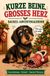 Kurze Bookmundo Kurze Beine, großes Herz: Der Dackel-Adventskalender – 24 Tage voller Geschichten, Witze, Rätsel und Dackel-Wissen