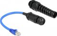 Delock CAT6 sFTP netwerkkabel - 0.25 meter - Zwart