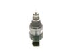 BOSCH Druckregelventil, Common-Rail-System 0281002494