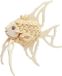 Merkloos / Sans marque Cornelissen Natierliche Geschenke Gmbh Houten dieren 3D puzzel vis