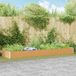 Maison Exclusive - Jardinière surélevée, couleur marron clair, dimensions 390 x 100 x 36 cm, en acier galvanisé