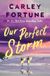 Our Berkley Publishing Corporation,U.S. Our Perfect Storm Hardcover