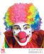 Widmann Clownspruik regenboog