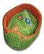 Novopet Kinderbed Eco Medium 52 x 42 cm 400 ml