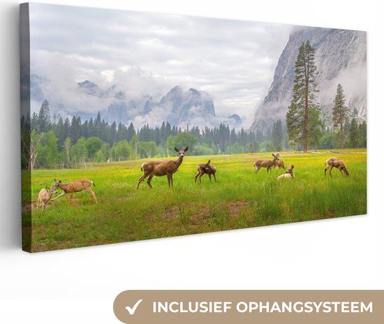 OneMillionCanvasses Canvas schilderij - Hert - Bos - Natuur - Wolken - 80x40 cm