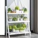 Unyqoos® Plantenrek en bois, 3 niveaux