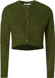 Noppies Vest Chive