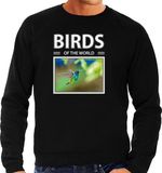 Bellatio Decorations Shoppartners Bv Dieren foto sweater Kolibrie vogel - zwart - heren - birds of the world - cadeau trui vogel liefhebber XL
