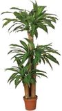 Intergard Kunstplant Dracaena 145cm